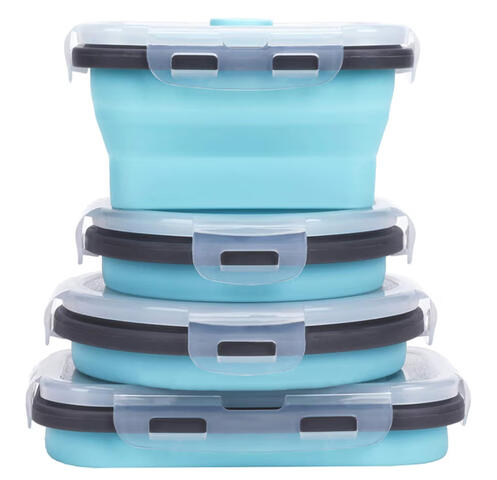 compact food containers for saving leftovers